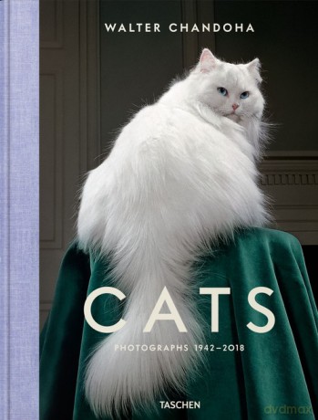 Walter Chandoha Cats - Walter Chandoha [KSIĄŻKA]