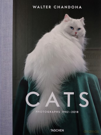 Walter Chandoha Cats - Walter Chandoha [KSIĄŻKA]
