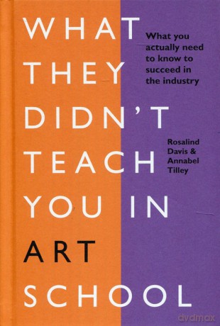 What They Didn't Teach You in Art. School [KSIĄŻKA]