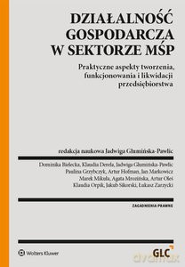 Działalność gospodarcza w sektorze MŚP. Praktyczne aspekty tworzenia, funkcjonowania i likwidacji przedsiębiorstw - Jadwiga Glumińska-Pawlic [KSIĄŻKA]