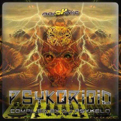 Psykorigid: Compiled by Dj Psykelo [CD]