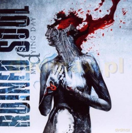 Ruined Soul: My Dying Day [CD]