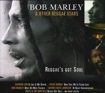 Reggae'S Got Soul [CD]
