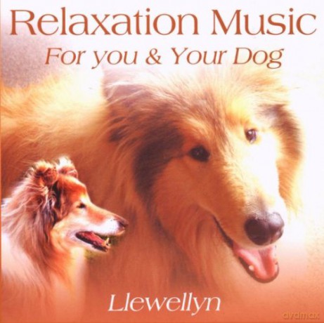 Llewellyn: Relaxation for You and Your Dog [CD]