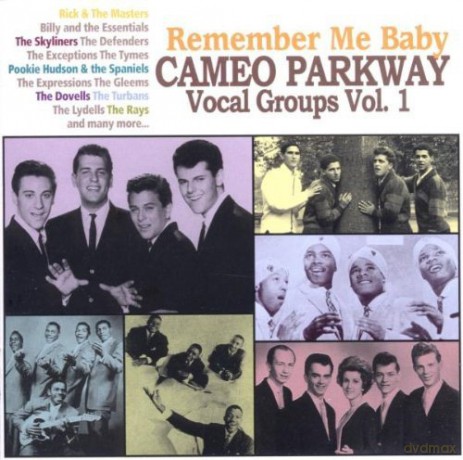 Remember Me Baby - Cameo Parkway Vocal Groups Vol 1 [CD]