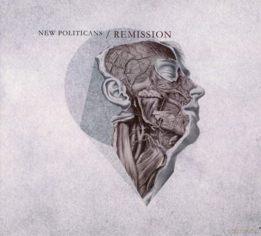 New Politicians: Remission [CD]