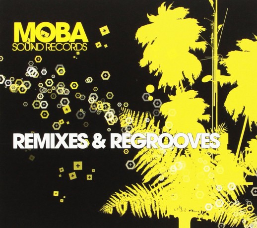 Remixes and Regrooves [CD]
