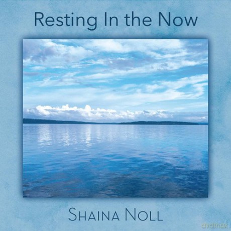 Shaina Noll: Resting In The Now [CD]