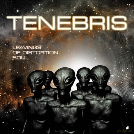 Tenebris: Leavings Of Distortion Soul [CD]