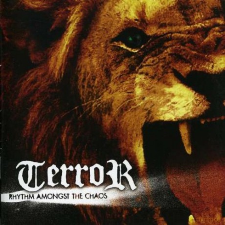 Terror: Rhythm Amongst Chaos [CD]