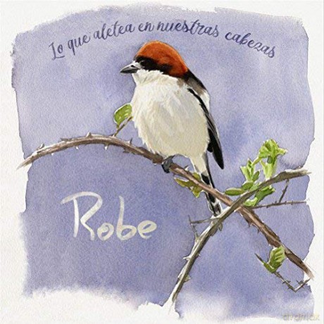 Robe: Robe - Lo Que Aletea en Nuestras Cabezas [CD]