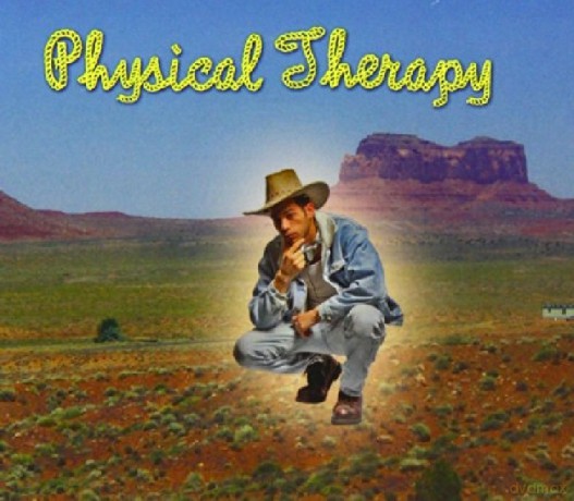 Physical Therapy: Safety Net [CD]