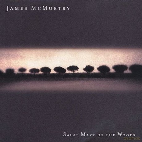 James Mcmurtry: Saint Mary of the Woods [CD]