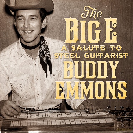 Salute To Steel Guitarist [CD]