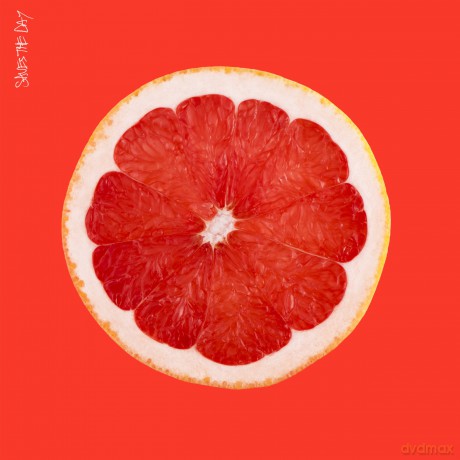Saves the Day: Saves the Day [CD]