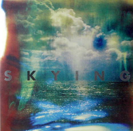 The Horrors: Skying [2xWinyl]
