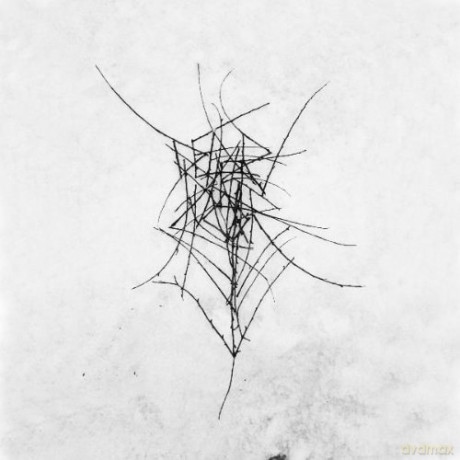 Dead Raven Choir: Schmerzensgewalt [CD]