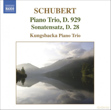 F. Schubert: Schubert: Piano Trio, D. 929; Sonatensatz, D. 28 [CD]