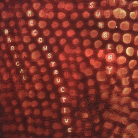 John Medeski: Scott Hard'S Radical... [CD]