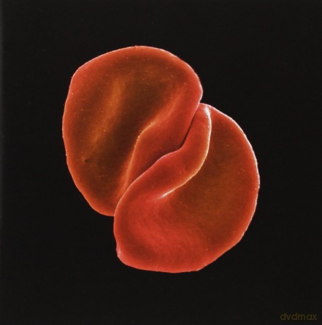 Peter Gabriel: Scratch My Back [CD]