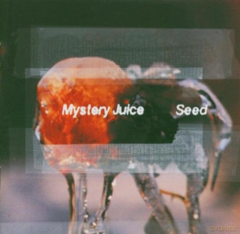 Mystery Juice: Seed [CD]