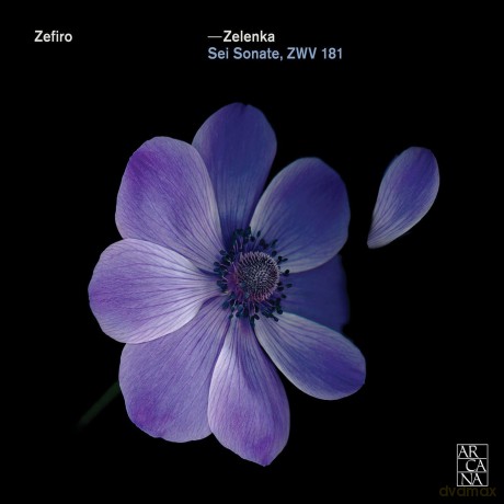J.D. Zelenka: Sei Sonate Zwv 181 [2CD]