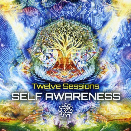 Twelve Sessions: Self Awareness [CD]