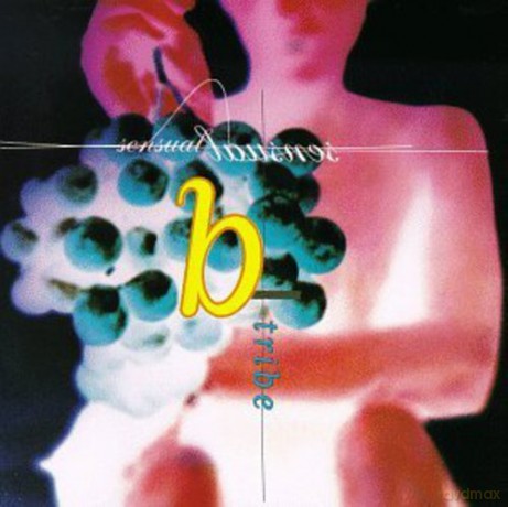 B-Tribe: Sensual Sensual [CD]