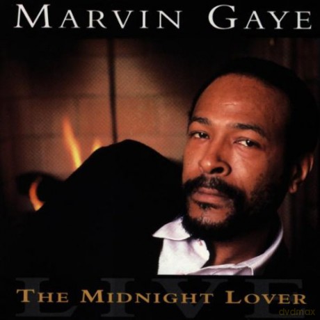 Marvin Gaye: Sexual Healing [CD]