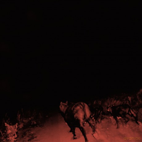 Bambara: Shadow On Everything [CD]