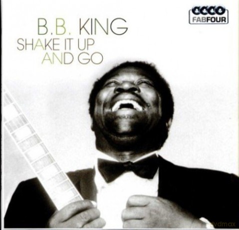 B.B. King: Shake It Up and Go [4CD]