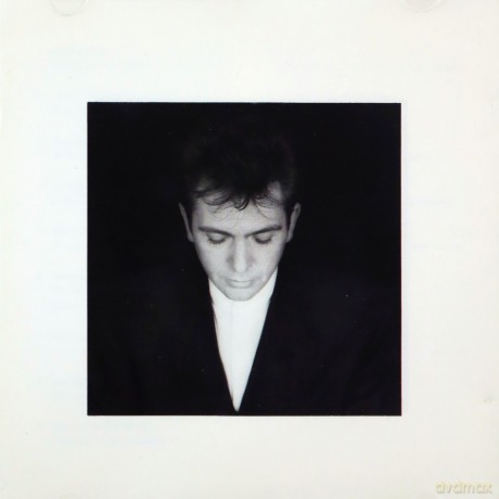 Peter Gabriel: Shaking the Tree - 16 Golden Greats [CD]