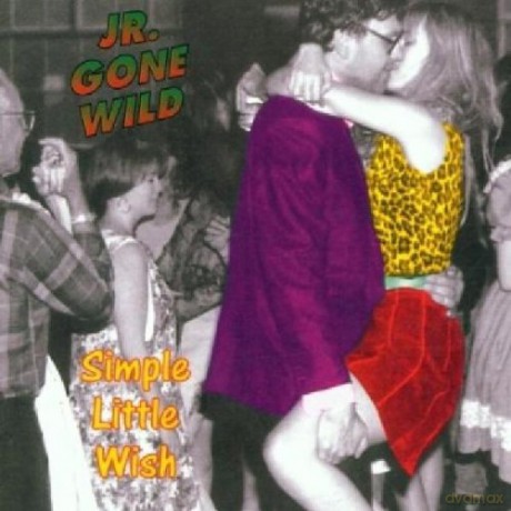 Jr. Gone Wild: Simple Little Wish [CD]