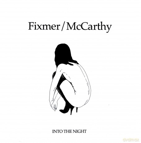 Fixmer/Mccarthy: Into The Night [CD]