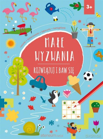 Małe wyzwania. Rozwiązuj i baw się [KSIĄŻKA]