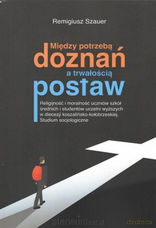 Między potrzebą doznań a trwałością postaw - Remigiusz Szauer [KSIĄŻKA]