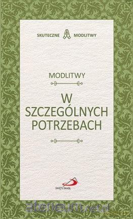Modlitwy w szczególnych potrzebach [KSIĄŻKA]