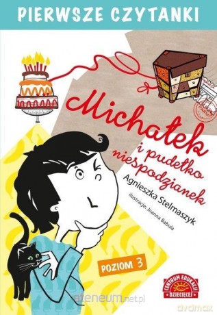 Pierwsze czytanki.Michałek i pudełko niespodzianek - Agnieszka Stelmaszyk [KSIĄŻKA]