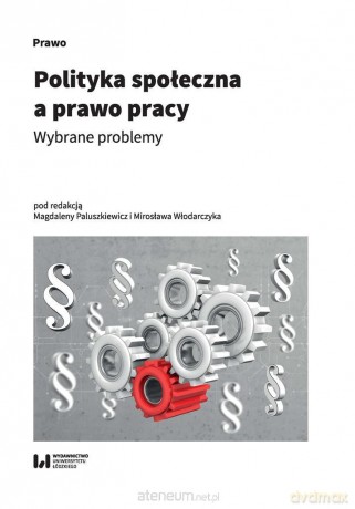Polityka społeczna a prawo pracy - Mirosław Włodarczyk, Magdalena Paluszkiewicz [KSIĄŻKA]
