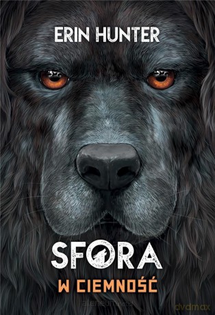 W ciemność - Erin Hunter [KSIĄŻKA]