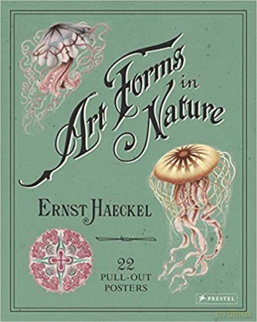 Art Forms in Nature Poster Book - Ernst Haeckel [KSIĄŻKA]