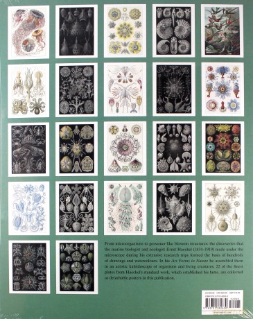 Art Forms in Nature Poster Book - Ernst Haeckel [KSIĄŻKA]