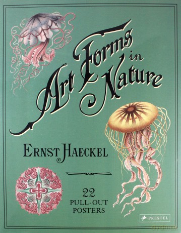 Art Forms in Nature Poster Book - Ernst Haeckel [KSIĄŻKA]