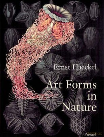 Art Forms in Nature Prints of Ernst Haeckel [KSIĄŻKA]