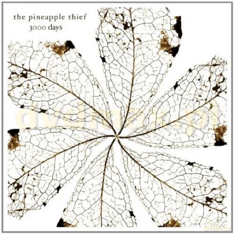 The Pineapple Thief: 3000 Days [2CD]