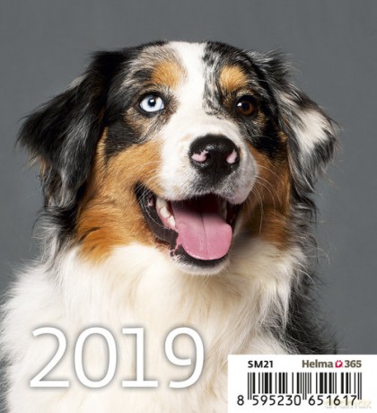 Kalendarz biurkowy Mini Pieski 2019 10 sztuk [KALENDARZ]
