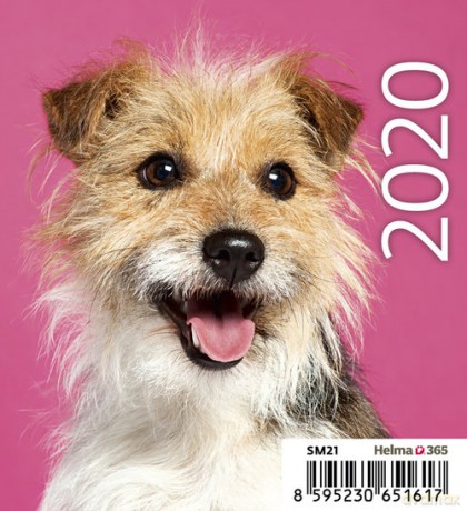 Kalendarz biurkowy Mini Pieski 2020 10 sztuk [KALENDARZ]