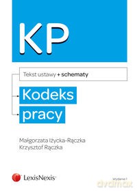 Kodeks pracy ze schematami - Małgorzata Iżycka-Rączka, Krzysztof Rączka [KSIĄŻKA]
