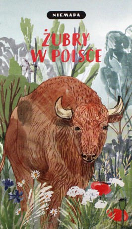 NIEMAPA Żubry w Polsce [KSIĄŻKA]