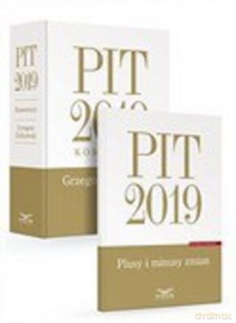 PIT 2019 Komentarz - Grzegorz Ziółkowski [KSIĄŻKA]